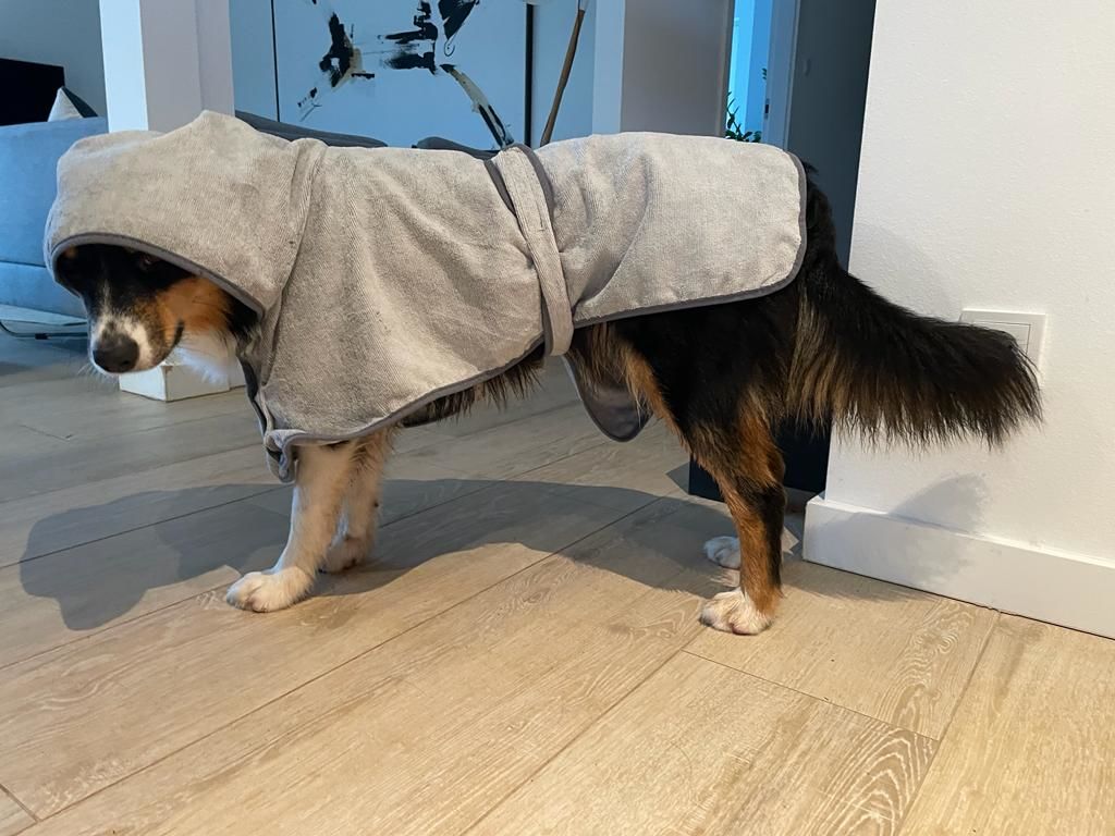 Customer photo review of Premium Hunde Bademantel