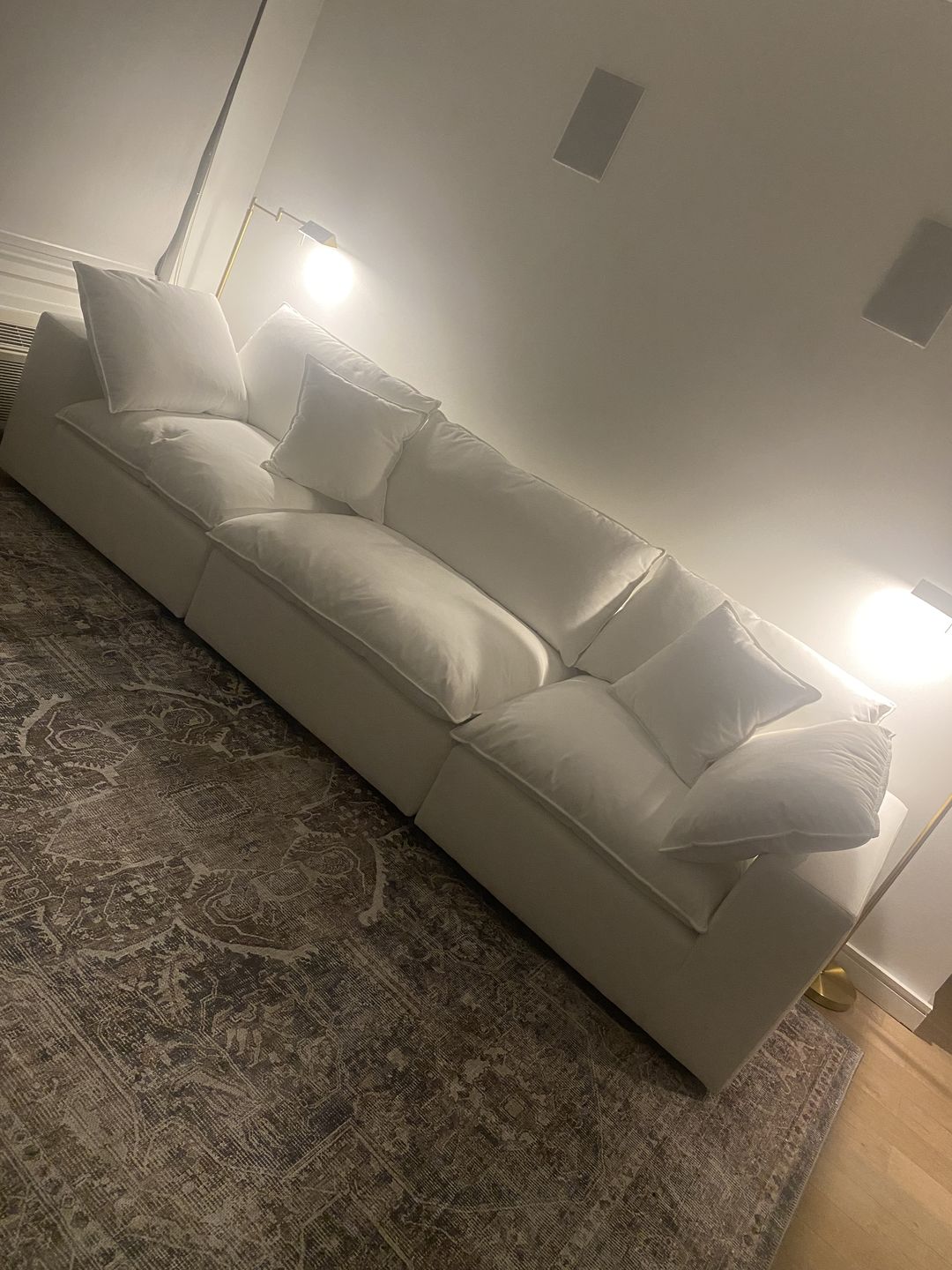 Customer photo review of Distressed Vintage Kendra Ash Area Rug