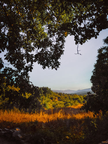 Customer photo review of GOLDEN HOUR LIGHTROOM PRESETS