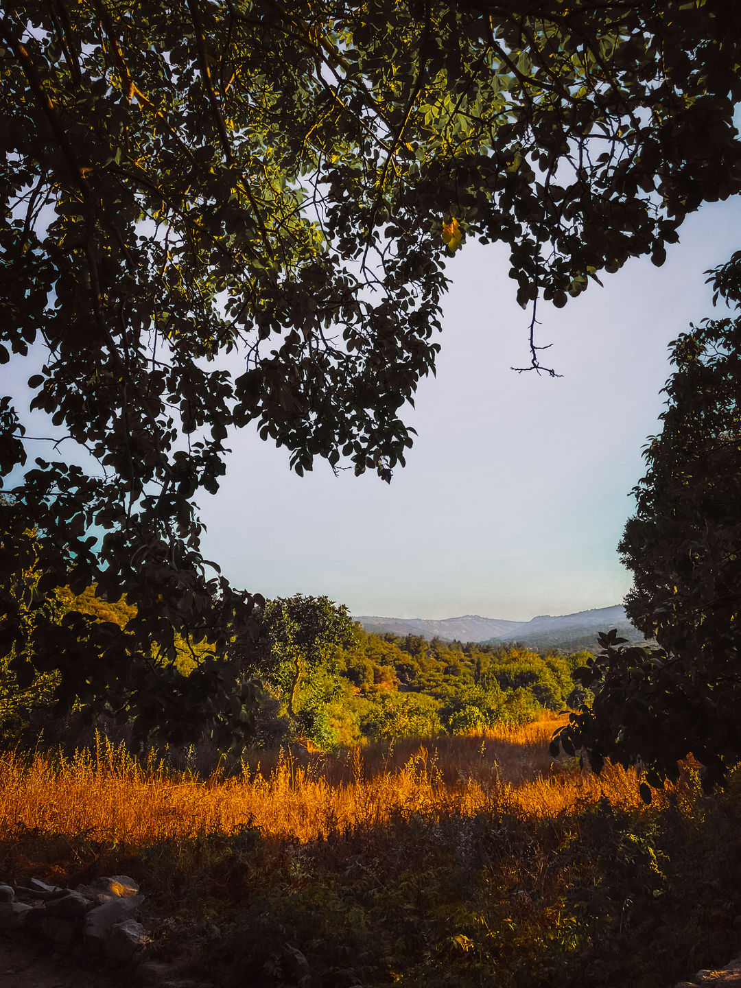Customer photo review of GOLDEN HOUR LIGHTROOM PRESETS