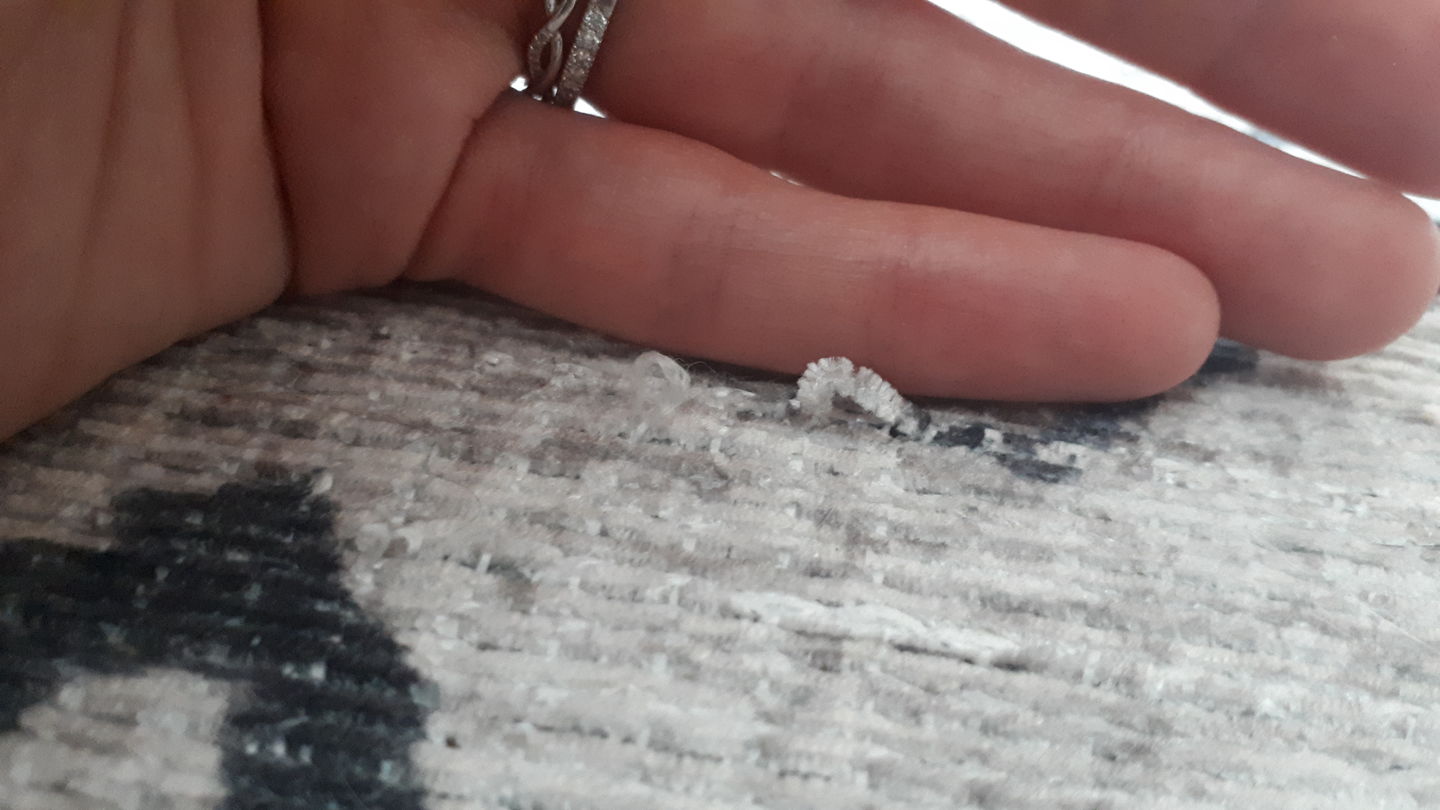 Customer photo review of Alma Scandi Silver Rug