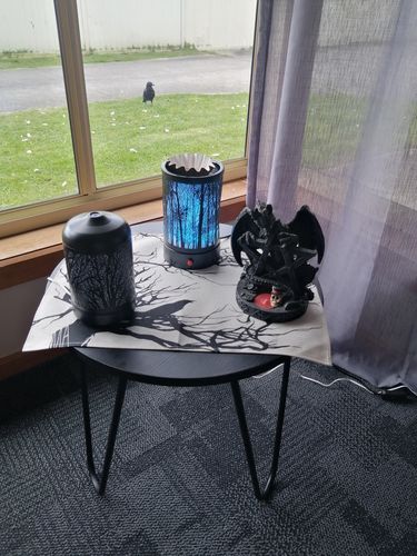 Customer photo review of Forest Tree Melt Oil Warmer