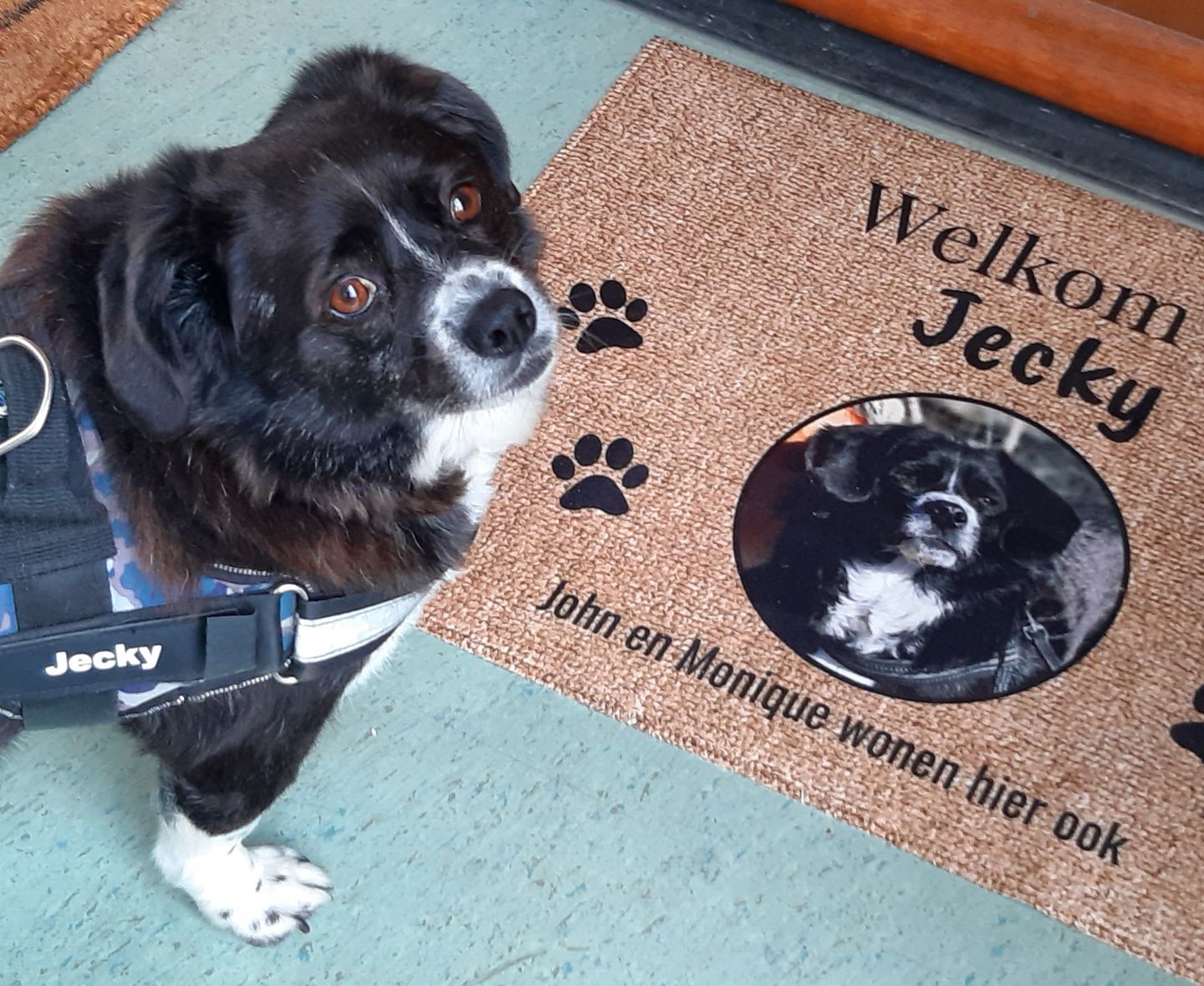 Customer photo review of Eigen foto - Gepersonaliseerde huisdier deurmat