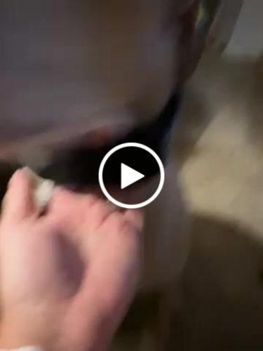 Customer video review of ByteTag Slide