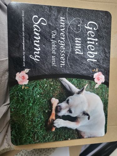 Customer photo review of Hunde Gedenktafel mit Foto & Spruch