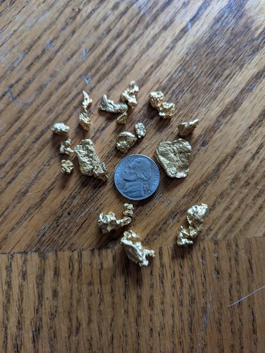 Customer photo review of Elite 'NUGGET CHASE' - Gold Panning Paydirt Concentrate