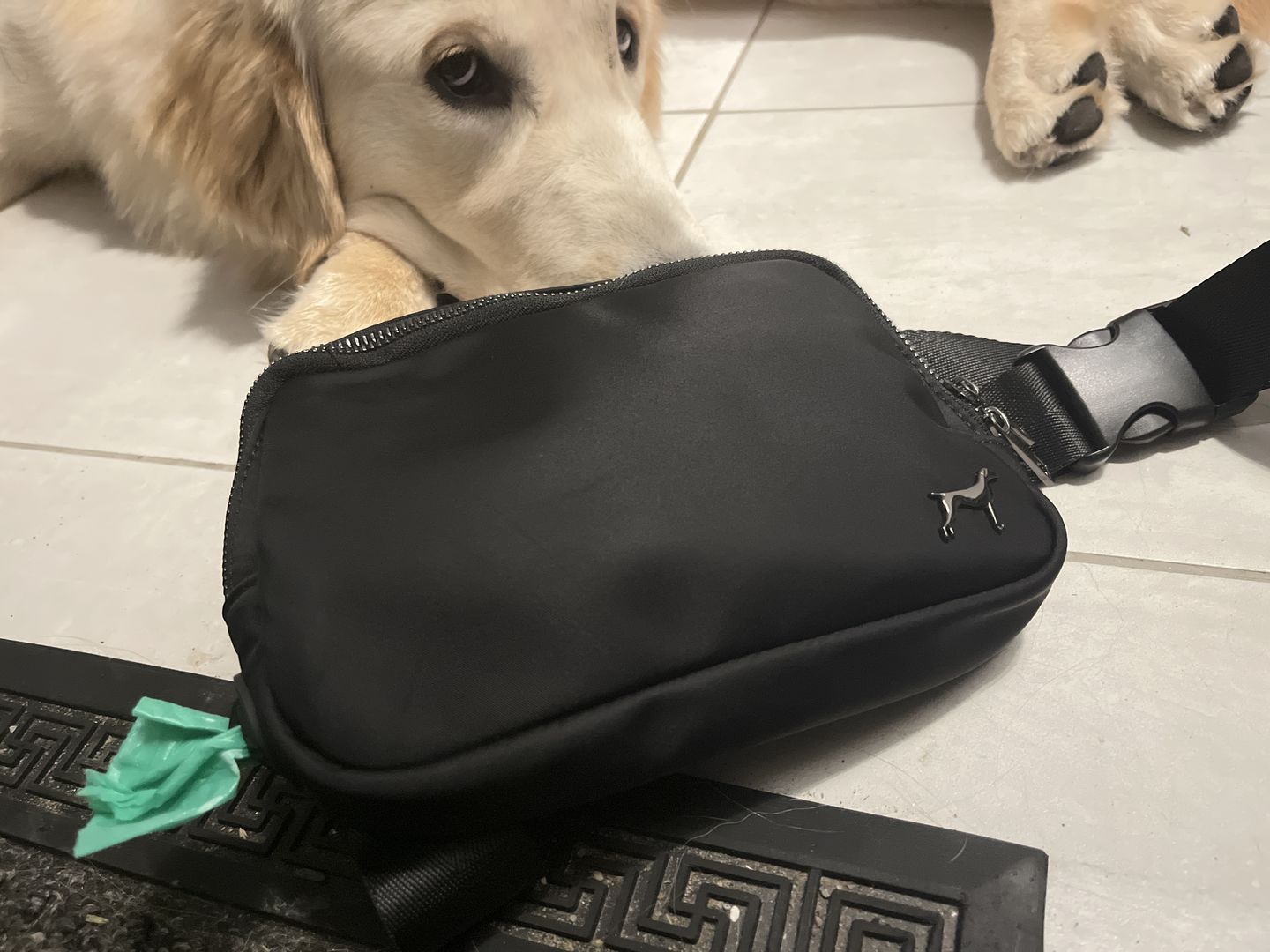 Customer photo review of Daily Belt Bag