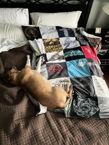 T-shirt quilt with dog care, running themes by Stephanie from NJ