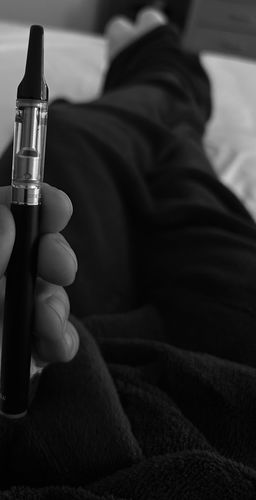 Customer photo review of HHC Vape Starter