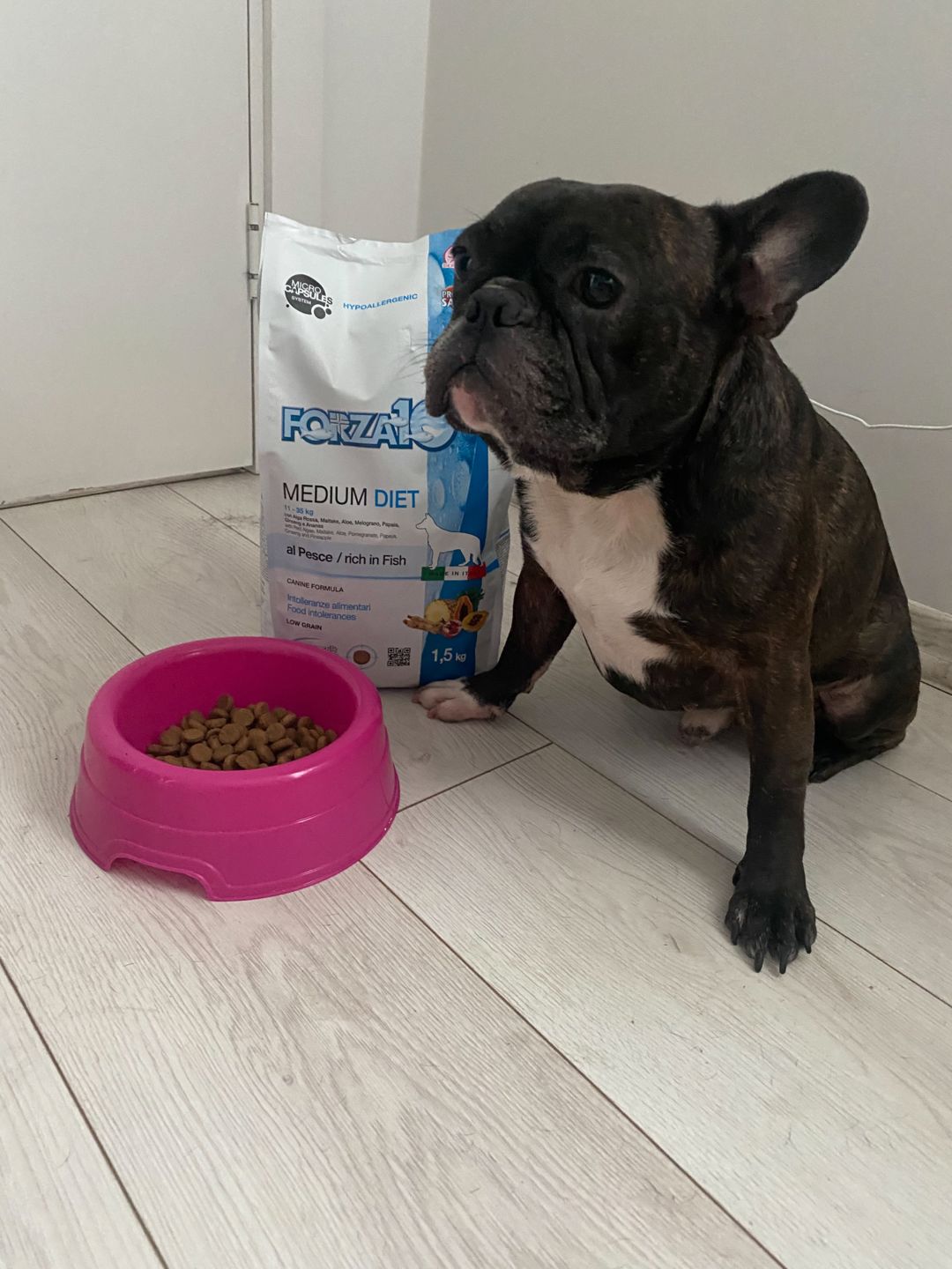 Customer photo review of Medium DIET ar zivi