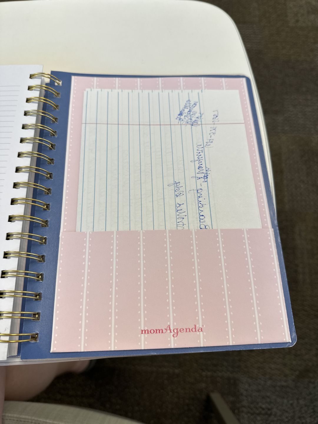 Customer photo review of Planner Pockets (Large)-  NEW Colors Now Available!