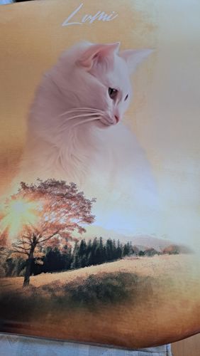 Customer photo review of Natur Pawtrait