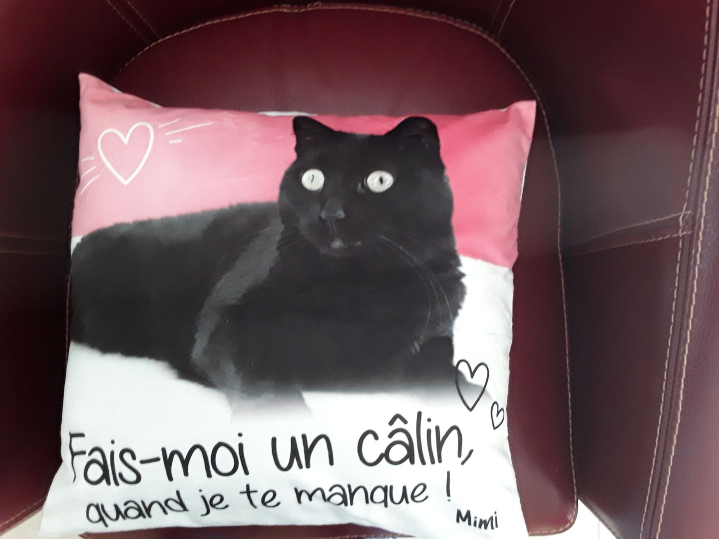 Customer photo review of Fais moi un câlin quand je te manque - Coussin personnalisé
