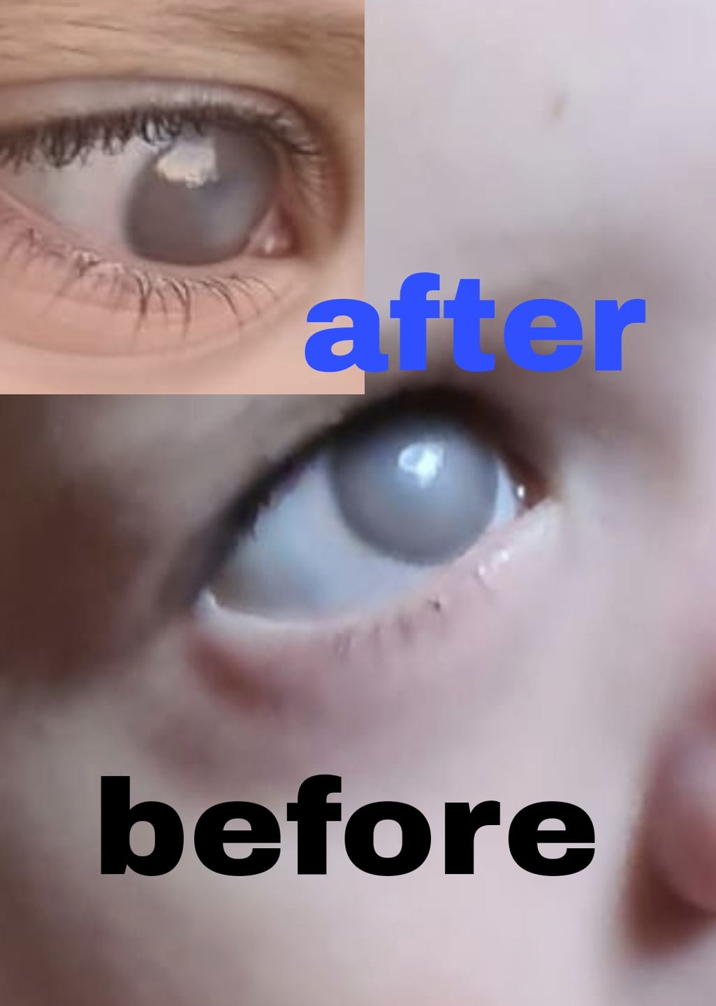 Customer photo review of Kamaeyes Vet
