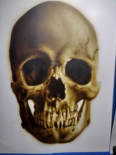 Customer photo review of Classroom in a Box: Skull project - (no paint or tools)