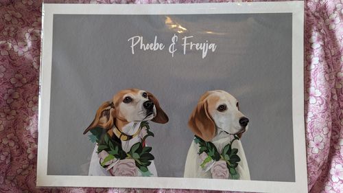 Customer photo review of Modern - Custom Pet Portrait