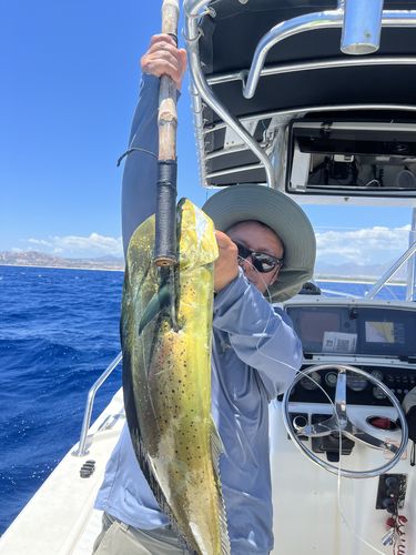 Customer photo review of Fisherman's Life® Vertical Jigs 100g, 150g, 200g, 300g FOUR COLORS available