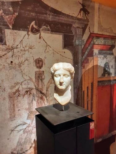 Customer photo review of Polo mezza manica rigata