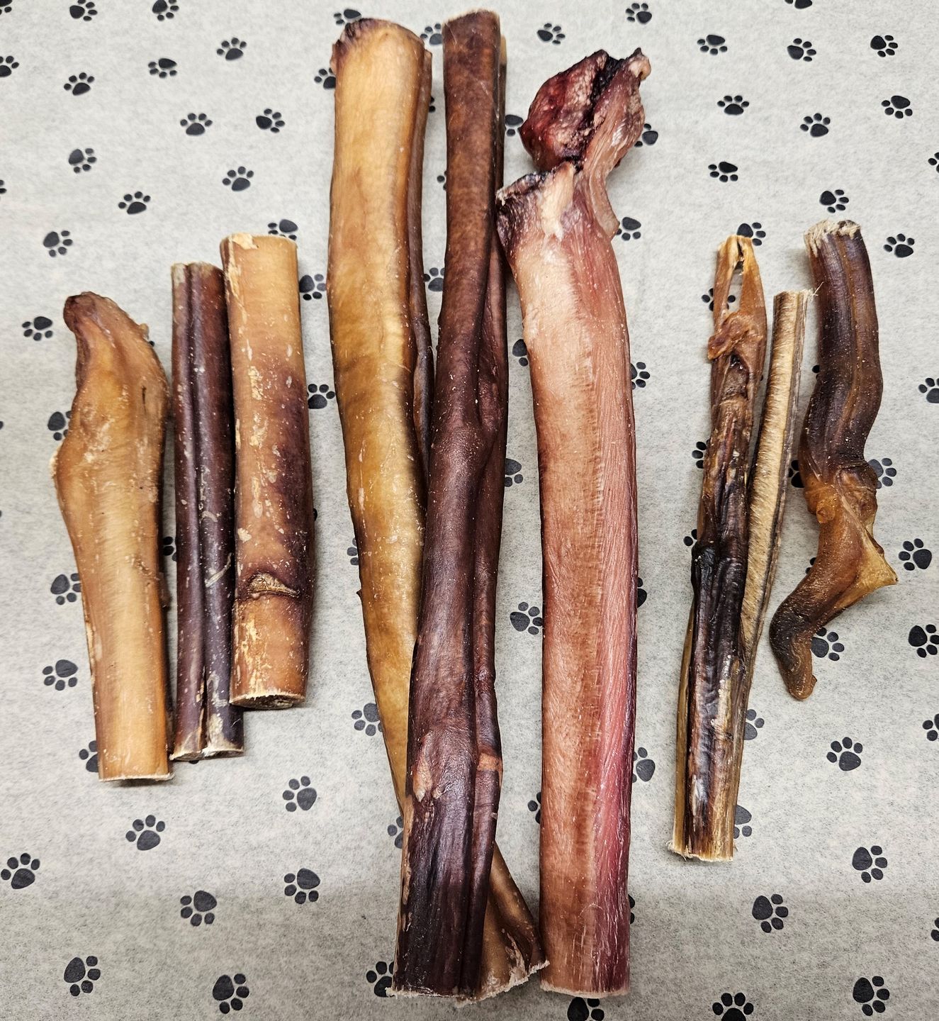 Customer photo review of Mixed Bully Sticks 12" (1lb)