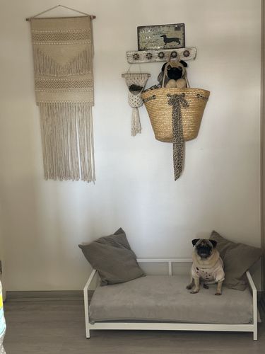 Customer photo review of Sofa Bellota Blanco PETS