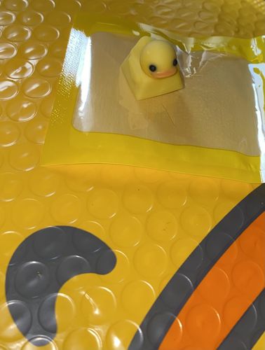 Customer photo review of OG Duckey Keycap