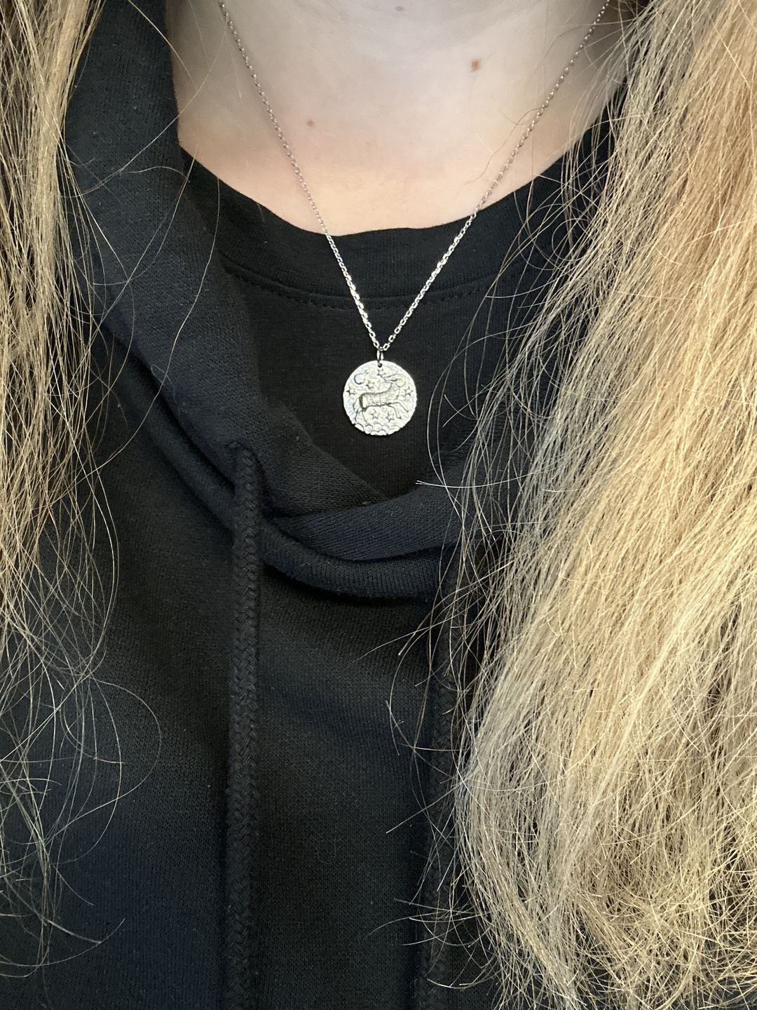 Customer photo review of ARIES / WIDDER