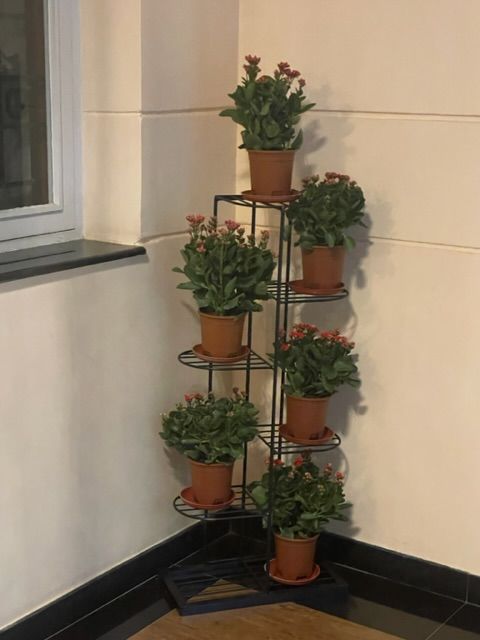 Customer photo review of Plant Stand Metal 6 Tier 7 Potted Multiple Flower Pot Holder Shelf Indoor Outdoor Planter Display Shelving Unit For Patio Garden Corner