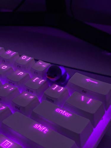 Customer photo review of OG Duckey Keycap