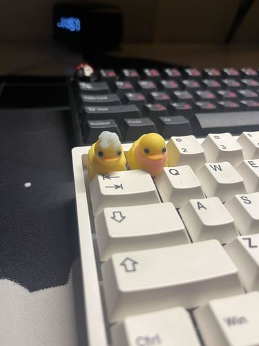 Customer photo review of Mystery Keycap Season 2