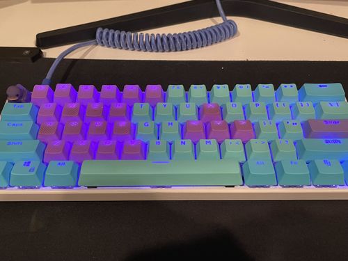 Customer photo review of OG Duckey Keycap