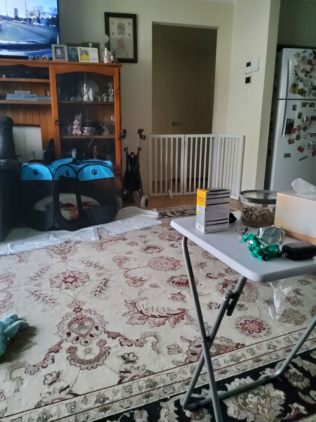 Customer photo review of PaWz Wooden Pet Gate - White
