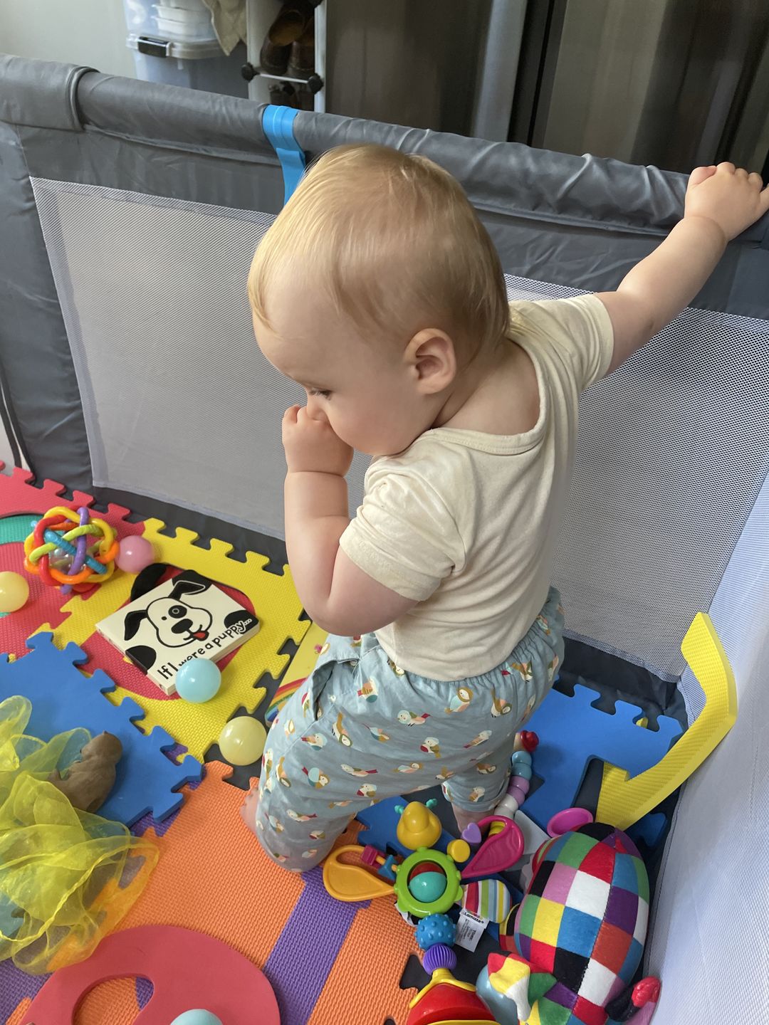 Customer photo review of Rainbow Birds Reversible Pull On Trousers