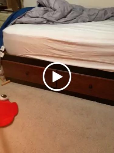 Customer video review of The Deceitful lightsaber