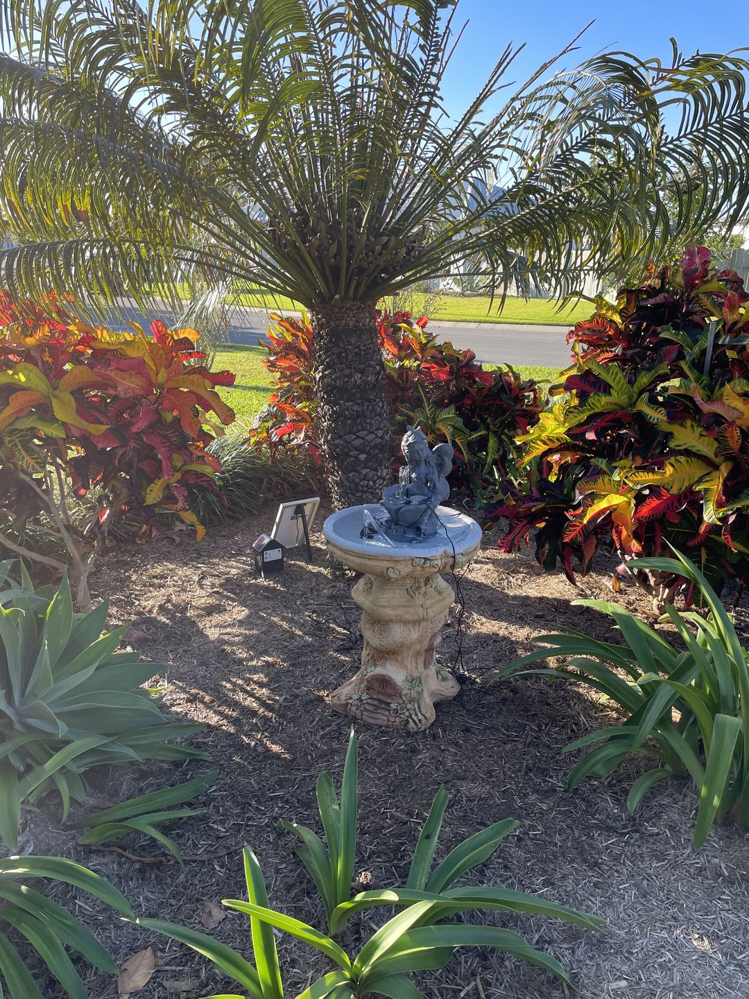 Customer photo review of Solar Powered Fountain Pump w/ Battery - 250LPH