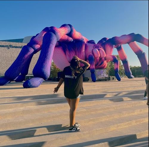 Customer photo review of SPIDER PLUMA JERSEY & TEES