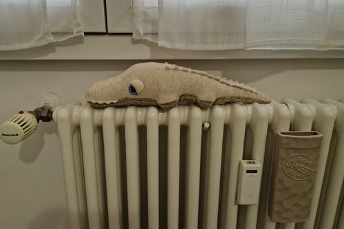 Customer photo review of The Mini Crocodile