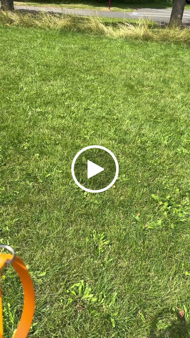 Customer video review of The Multi QuickLead™ Duo Tone - Dog Leash
