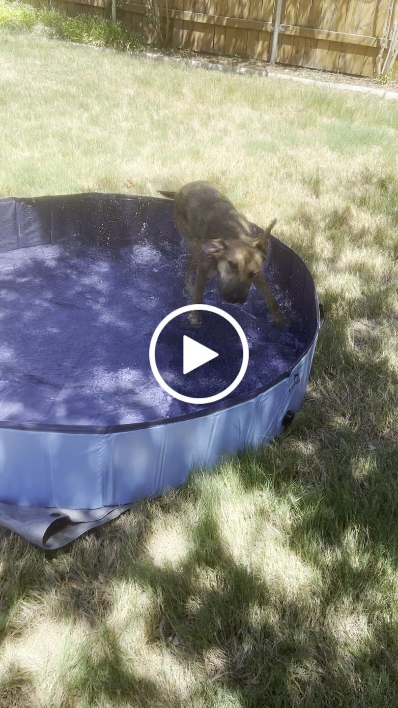 Customer video review of NEW Pop-Up Foldable Outdoor Dog Bath & Swimming Pool With Side Drain (+FREE POOL COVER!)