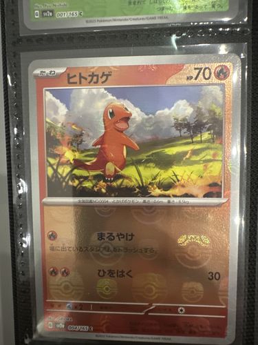 Customer photo review of Carte Pokémon SV2a 004/165 Salamèche Holo Masterball