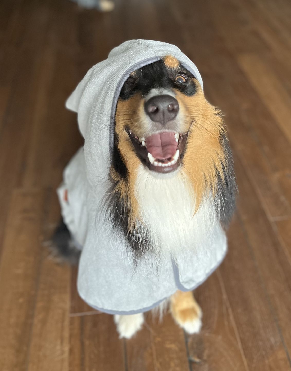 Customer photo review of Premium Hunde Bademantel