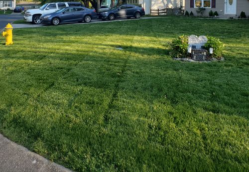 Customer photo review of Protene Performance Summer Fertilizer