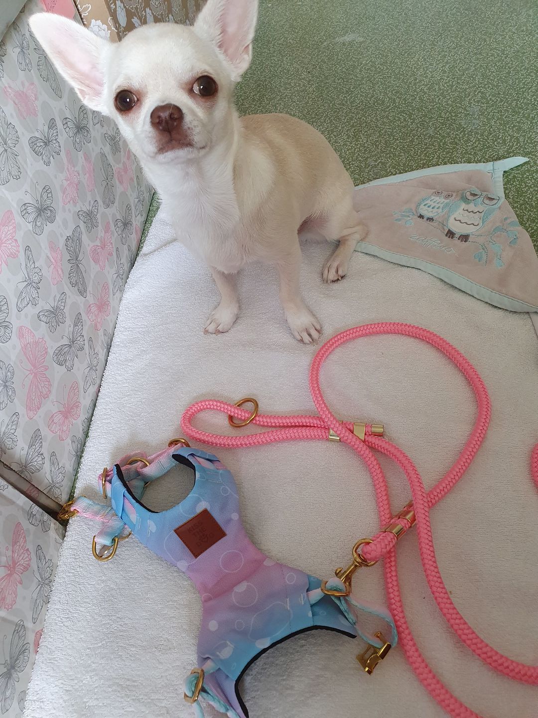 Customer photo review of Smycz linowa "Girly Pink" - złote okucia