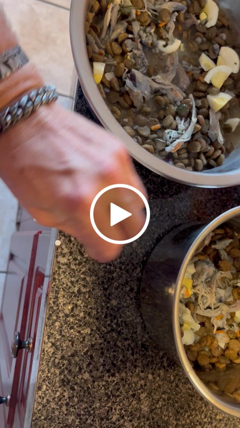 Customer video review of Ear Infection & Itch Relief Treatment for Dogs and Cats - Helps Ear Problems such as Otitis, Lesions and Papules
