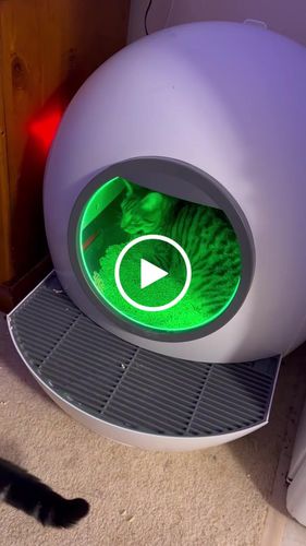 Customer video review of PaWz Automatic Smart Cat Litter Box