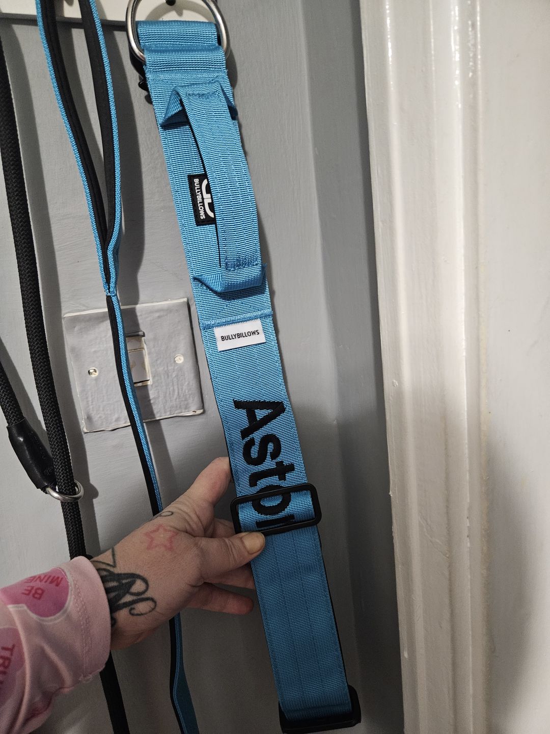Customer photo review of 5cm Combat® Collar | Rated Clip - NO HANDLE - Light Blue v2.0