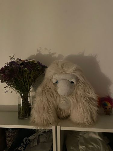 Customer photo review of The Yeti