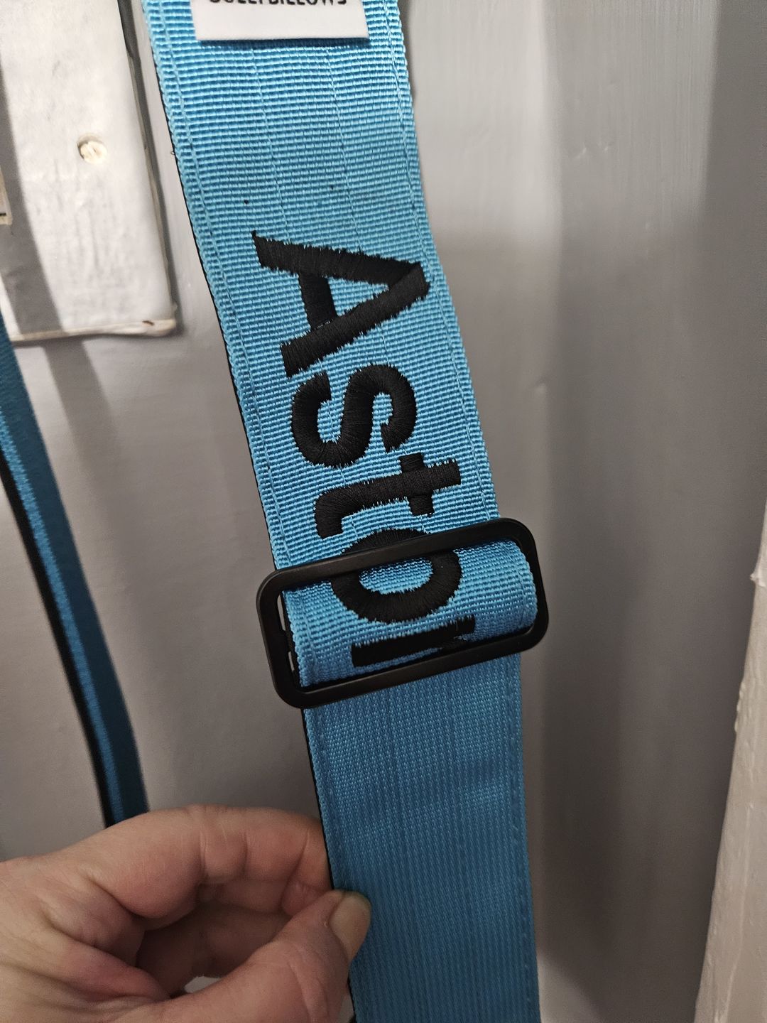 Customer photo review of 5cm Combat® Collar | With Handle & Rated Clip - Light Blue v2.0