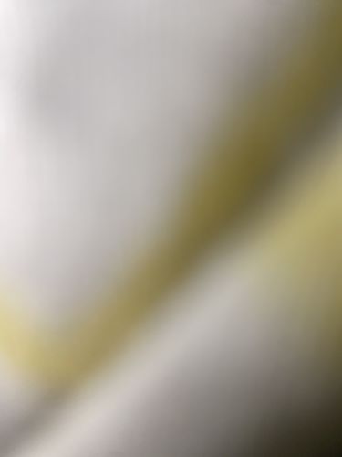 Customer photo review of AMIRI T-Shirt