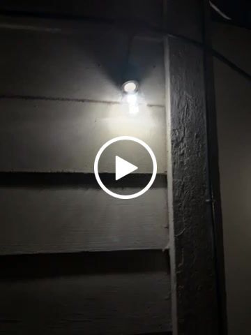Customer video review of Cool White 0.8-Watt LED S14 Sign Light Bulb, Shatterproof, E26 Medium Base