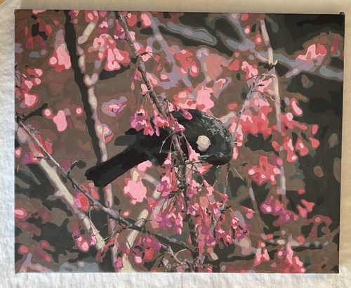 Customer photo review of Tui in Cherry Tree